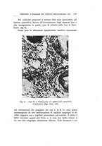 giornale/PUV0115303/1934-1935/unico/00000153