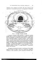 giornale/PUV0115303/1936-1939/unico/00000173