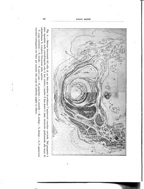 Archivii italiani di laringologia periodico trimestrale