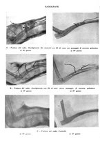 giornale/PUV0115492/1938/unico/00000022