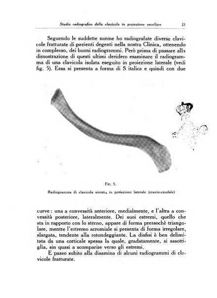 Ortopedia e traumatologia dell'apparato motore rivista bimestrale di cinematojatria