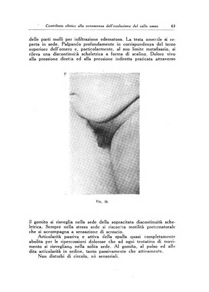 Ortopedia e traumatologia dell'apparato motore rivista bimestrale di cinematojatria