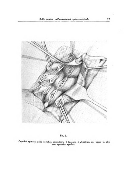 Ortopedia e traumatologia dell'apparato motore rivista bimestrale di cinematojatria