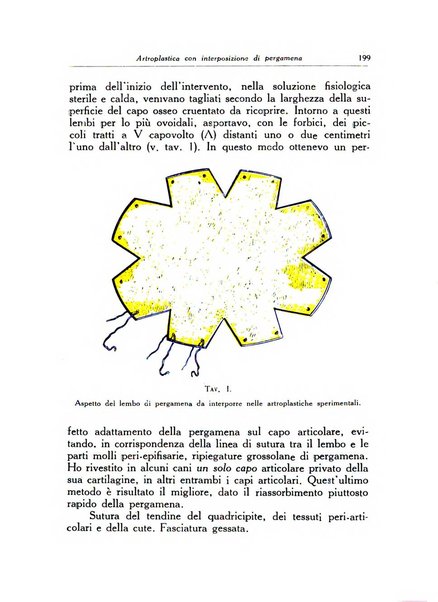 Ortopedia e traumatologia dell'apparato motore rivista bimestrale di cinematojatria