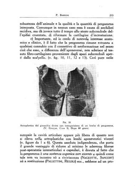 Ortopedia e traumatologia dell'apparato motore rivista bimestrale di cinematojatria