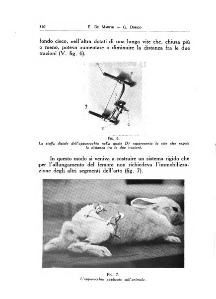 Ortopedia e traumatologia dell'apparato motore rivista bimestrale di cinematojatria