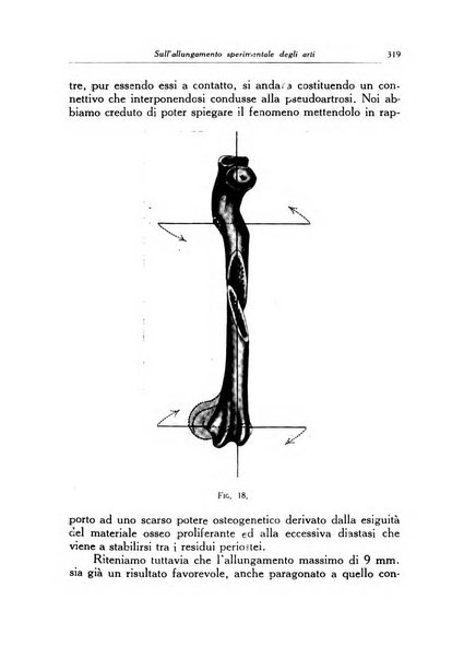 Ortopedia e traumatologia dell'apparato motore rivista bimestrale di cinematojatria