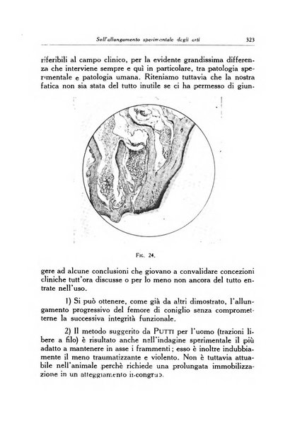 Ortopedia e traumatologia dell'apparato motore rivista bimestrale di cinematojatria