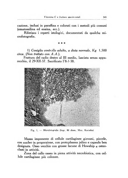 Ortopedia e traumatologia dell'apparato motore rivista bimestrale di cinematojatria