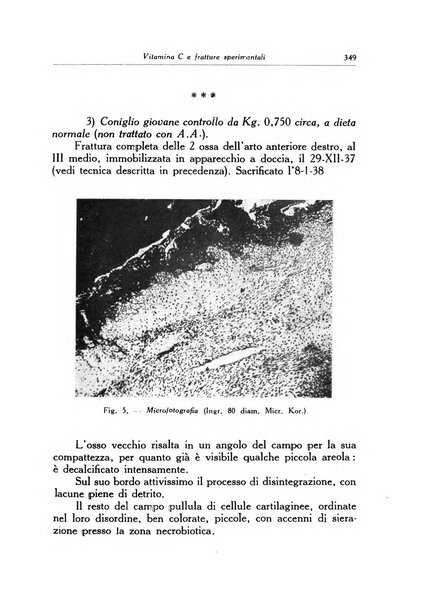 Ortopedia e traumatologia dell'apparato motore rivista bimestrale di cinematojatria