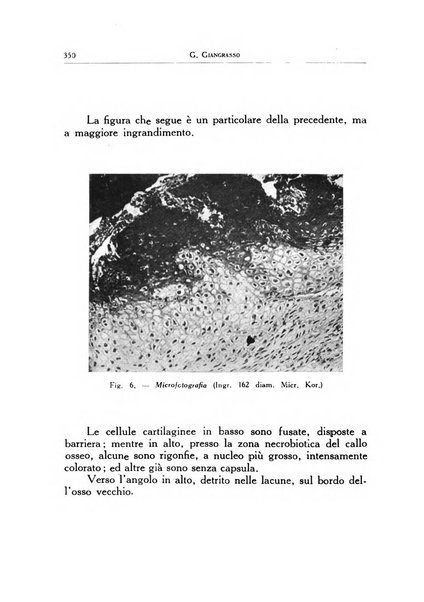 Ortopedia e traumatologia dell'apparato motore rivista bimestrale di cinematojatria