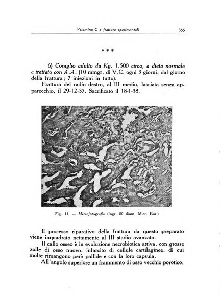 Ortopedia e traumatologia dell'apparato motore rivista bimestrale di cinematojatria