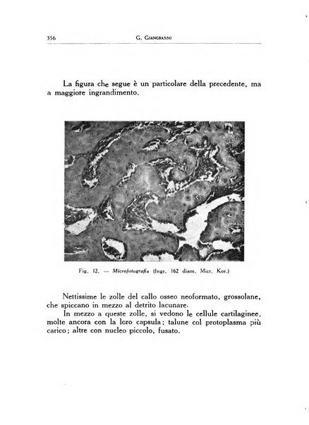 Ortopedia e traumatologia dell'apparato motore rivista bimestrale di cinematojatria