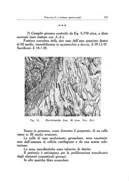 Ortopedia e traumatologia dell'apparato motore rivista bimestrale di cinematojatria