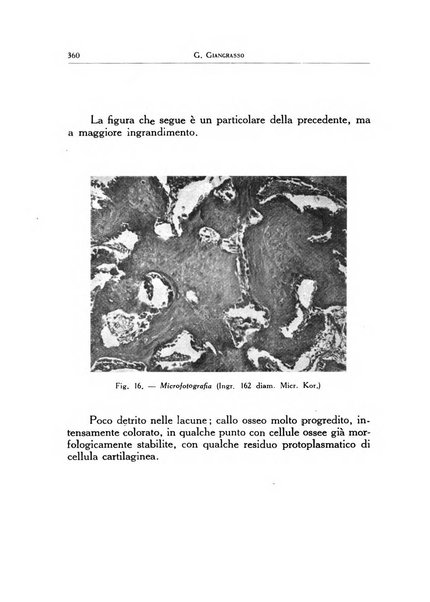 Ortopedia e traumatologia dell'apparato motore rivista bimestrale di cinematojatria