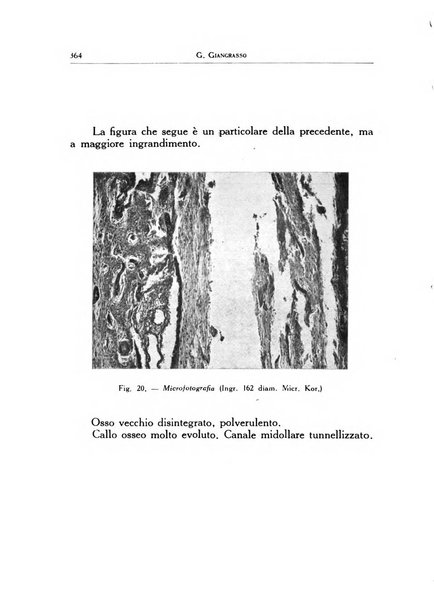 Ortopedia e traumatologia dell'apparato motore rivista bimestrale di cinematojatria