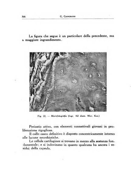 Ortopedia e traumatologia dell'apparato motore rivista bimestrale di cinematojatria