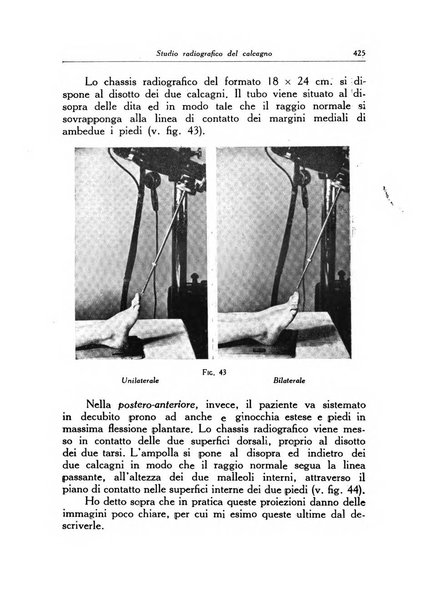 Ortopedia e traumatologia dell'apparato motore rivista bimestrale di cinematojatria