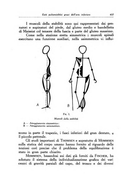 Ortopedia e traumatologia dell'apparato motore rivista bimestrale di cinematojatria