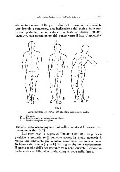 Ortopedia e traumatologia dell'apparato motore rivista bimestrale di cinematojatria