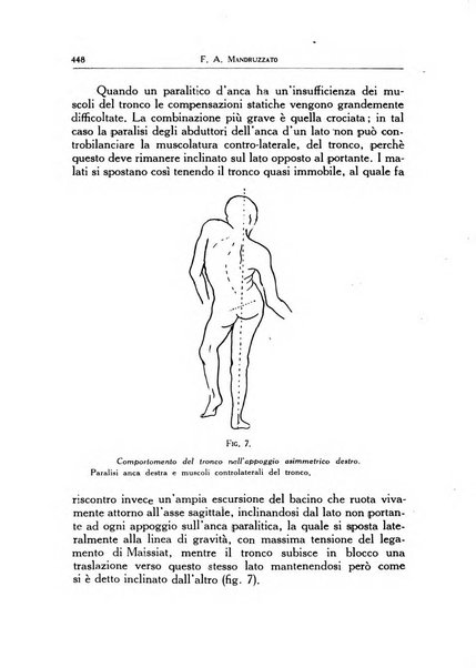 Ortopedia e traumatologia dell'apparato motore rivista bimestrale di cinematojatria