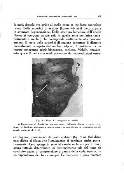 Ortopedia e traumatologia dell'apparato motore rivista bimestrale di cinematojatria