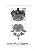 giornale/PUV0115492/1939/unico/00000340