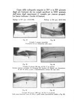 giornale/PUV0115492/1940/unico/00000130