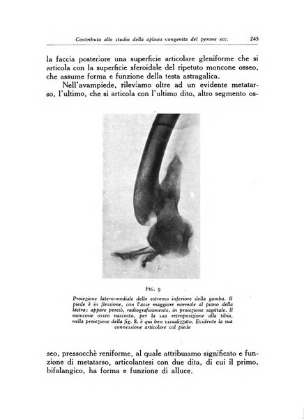 Ortopedia e traumatologia dell'apparato motore rivista bimestrale di cinematojatria