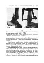 giornale/PUV0115492/1940/unico/00000277