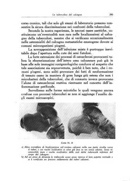 Ortopedia e traumatologia dell'apparato motore rivista bimestrale di cinematojatria