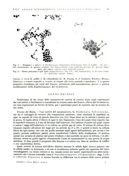 Radiologia e fisica medica. Sezione 1, Archivio di radioterapia e biofisica