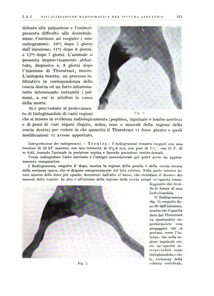 Radiologia e fisica medica. Sezione 1, Archivio di radioterapia e biofisica