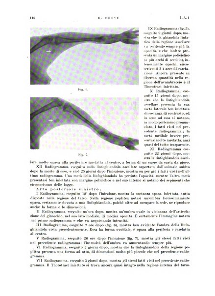 Radiologia e fisica medica. Sezione 1, Archivio di radioterapia e biofisica