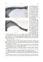 giornale/PUV0115511/1934/unico/00000140