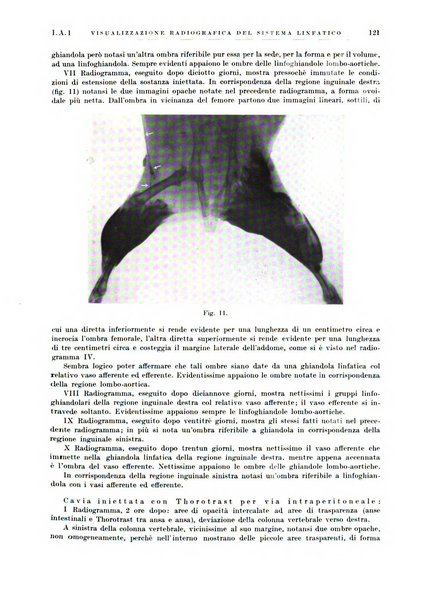 Radiologia e fisica medica. Sezione 1, Archivio di radioterapia e biofisica