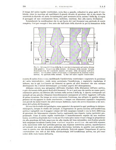 Radiologia e fisica medica. Sezione 1, Archivio di radioterapia e biofisica