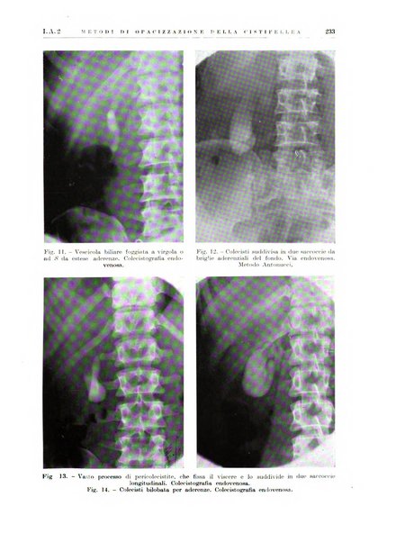 Radiologia e fisica medica. Sezione 1, Archivio di radioterapia e biofisica