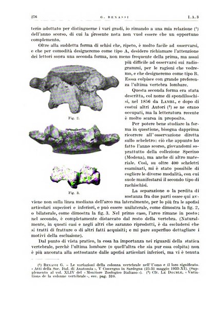 Radiologia e fisica medica. Sezione 1, Archivio di radioterapia e biofisica