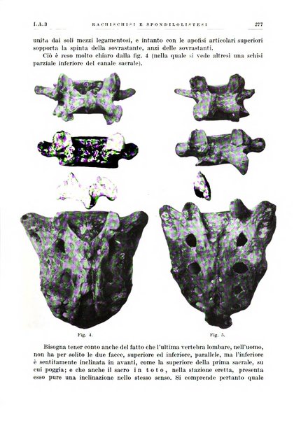 Radiologia e fisica medica. Sezione 1, Archivio di radioterapia e biofisica