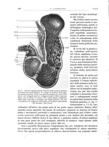 Radiologia e fisica medica. Sezione 1, Archivio di radioterapia e biofisica