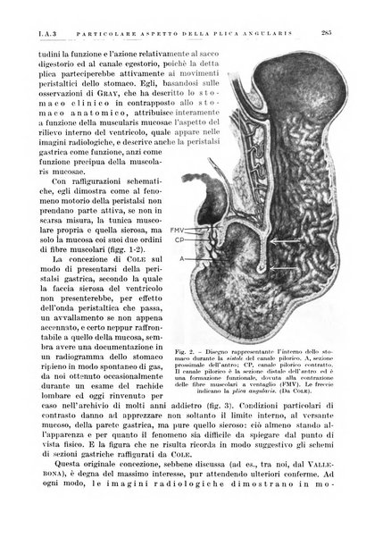 Radiologia e fisica medica. Sezione 1, Archivio di radioterapia e biofisica