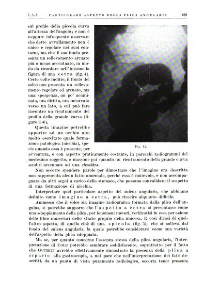 Radiologia e fisica medica. Sezione 1, Archivio di radioterapia e biofisica