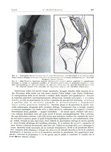 Radiologia e fisica medica. Sezione 1, Archivio di radioterapia e biofisica