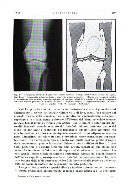 Radiologia e fisica medica. Sezione 1, Archivio di radioterapia e biofisica