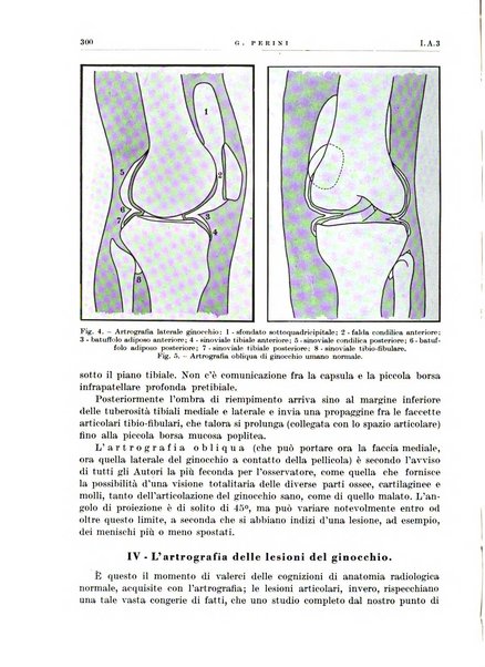 Radiologia e fisica medica. Sezione 1, Archivio di radioterapia e biofisica