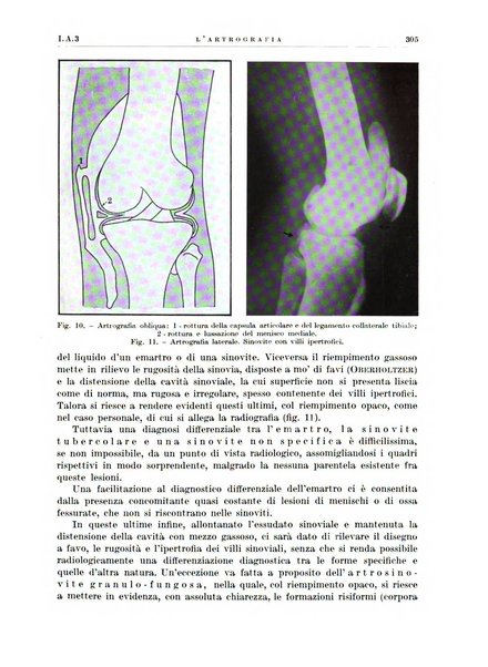 Radiologia e fisica medica. Sezione 1, Archivio di radioterapia e biofisica