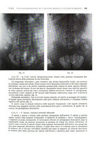 giornale/PUV0115511/1934/unico/00000361