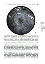 giornale/PUV0115511/1934/unico/00000429