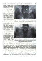 giornale/PUV0115511/1934/unico/00000431